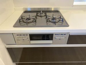 ルピナス　ファースト 0301号-15