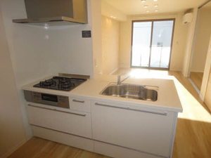 ドリームフォレスト D202号-4