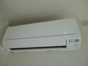 ドリームフォレスト D202号-13