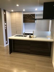 スプラー　インスラ 0202号-3