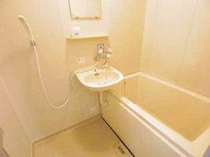 シャンフレ 0101号-13