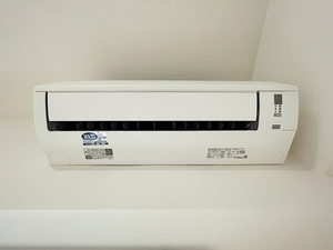 シャンフレ 0302号-13