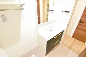 Vita Rosa 0303号-10