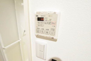 Vita Rosa 0303号-11