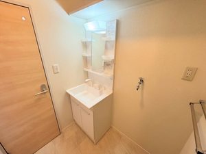 ・グレイス小杉 0101号-9