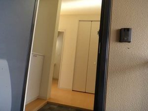 ・グレイス小杉 0202号-3