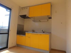 ・グレイス小杉 0202号-5