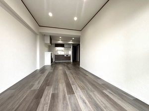 グリーンハイツフジタ 005D号-4