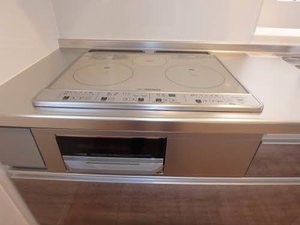 Ｓｏｕｔｈｅｒｎ　Ｔｅｒｒａｃｅ　海 0101号-5