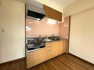 レジデンス大井手 2C号-3