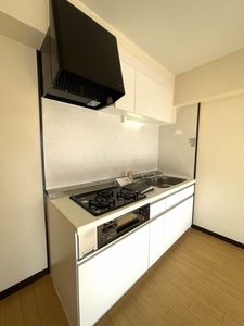 レジデンス大井手 3C号-3