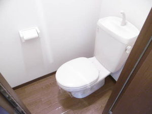 スターブルＡ 0102号-10