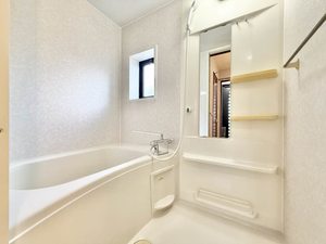 スターブルＡ 0205号-5