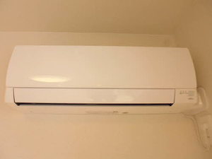 ＰＵＥＲ　ＥＴ　ＰＵＥＬＬＡ 0106号-11