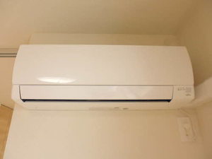 PUER ET PUELLA 0305号-11