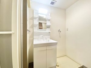 リバーサイドパピヨン 0205号-11