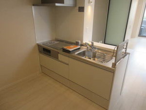 ウィステリア千歳 0203号-8