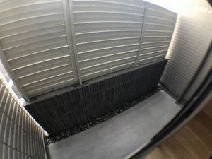 シャーメゾン五月町 0103号-9