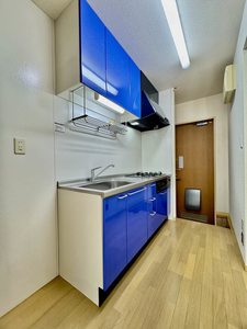 アバンサールＷ 0102号-15