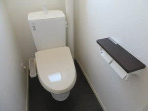 アルカディアマンション 0203号-8