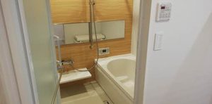 Ｌａｃｈｉｃ（ラシック） 0105号-10