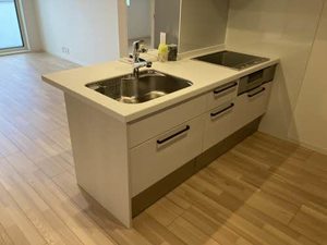 Ｌａｃｈｉｃ（ラシック） 0201号-3