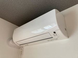 Ｌａｃｈｉｃ（ラシック） 0201号-11