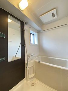 Ｓｕｇａｒ　Ｈｉｌｌｓ　Ｃｈｉｋｕｓａ 0402号-6