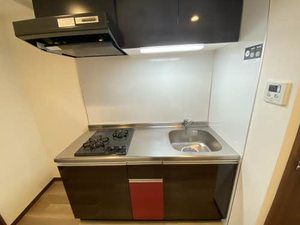 Ｓｕｇａｒ　Ｈｉｌｌｓ　Ｃｈｉｋｕｓａ 0402号-8