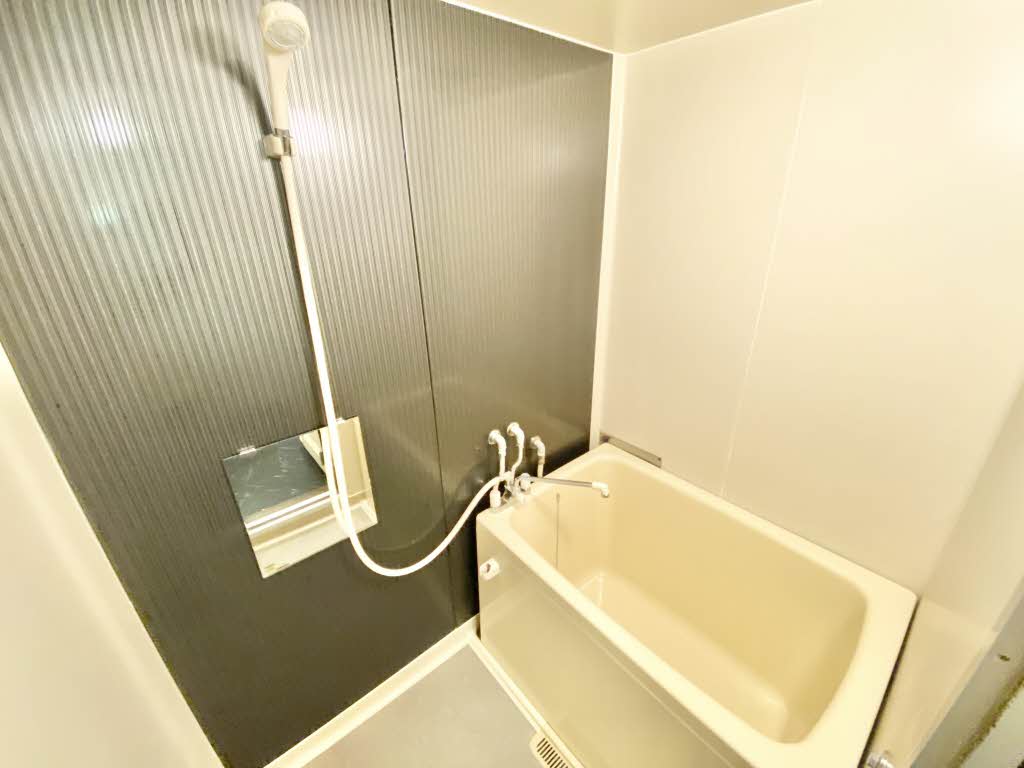 タウニイエード B102号-11