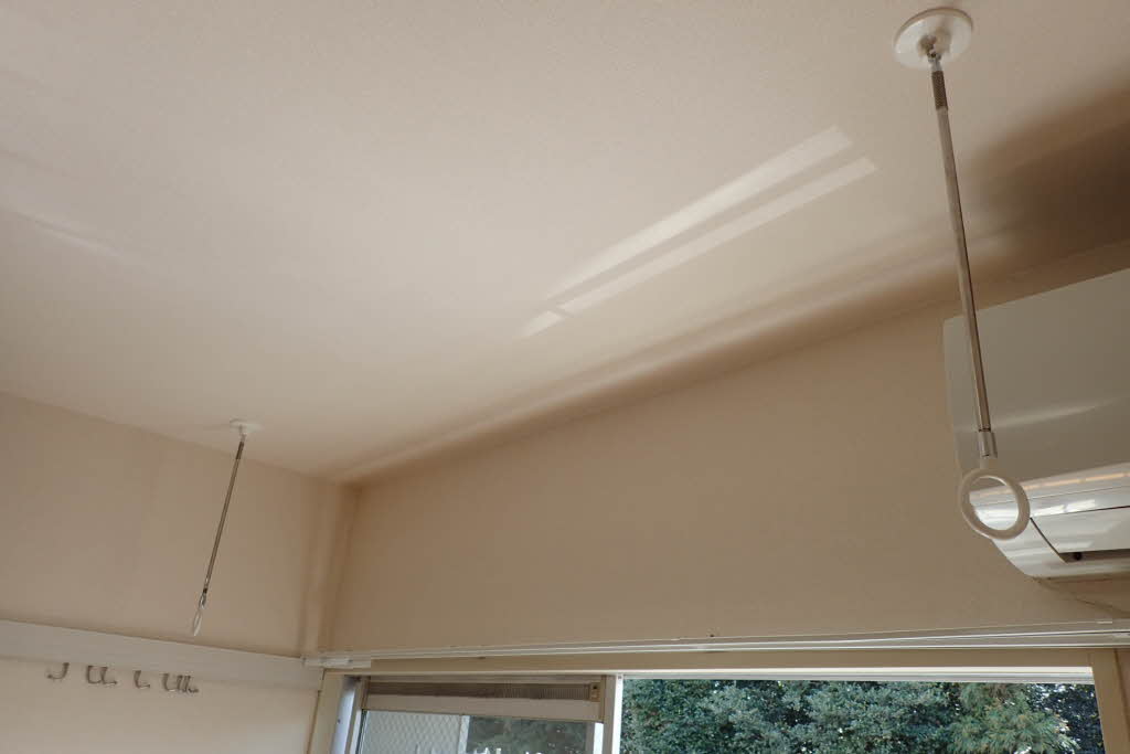 ステップ１長良 0203号-8