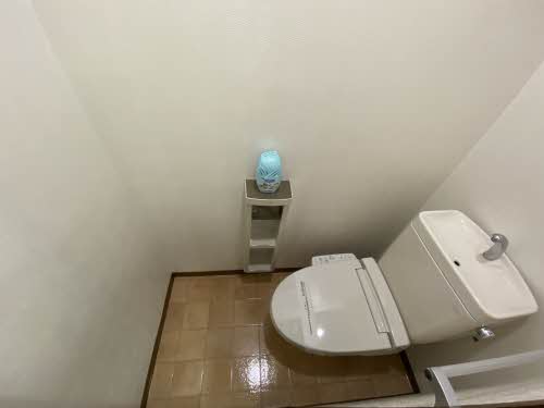 アゼリア大岡 B102号-13