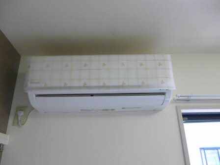 メゾンマルヤ 0203号-10