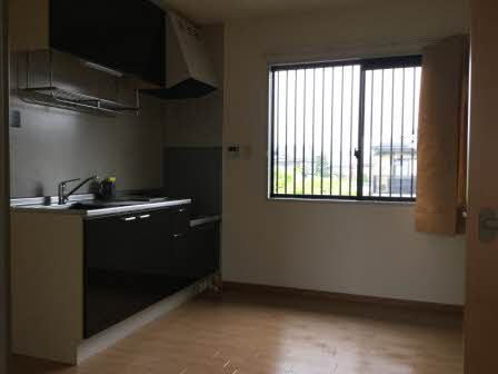 ラポールカイト D201号-7