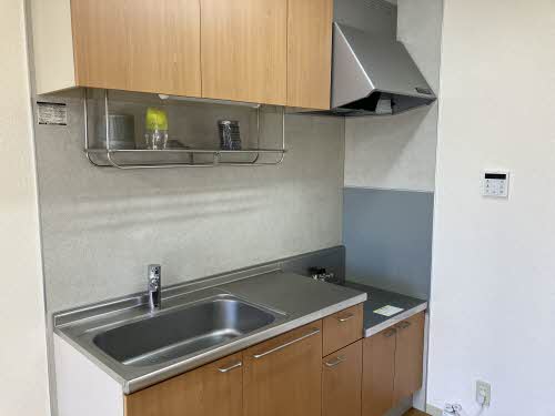 モデルナⅡ 0201号-12