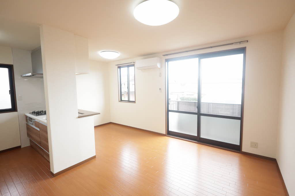 ザミレニアム B202号-2