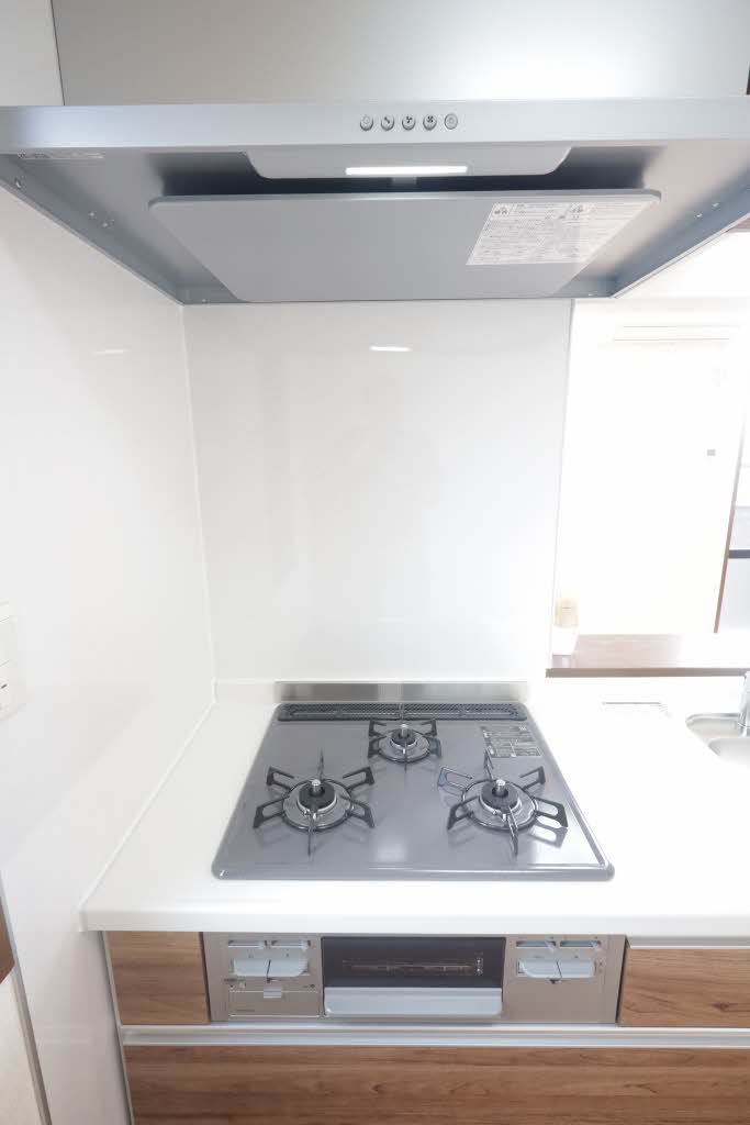 ザミレニアム B202号-14