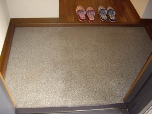 ミレニアム松崎 0202号-2