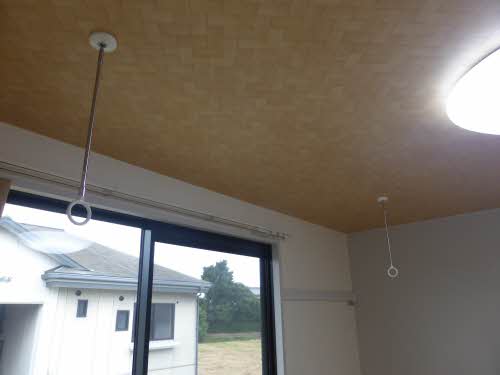 こすもす A201号-8