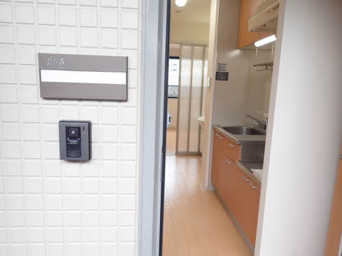 パステロ 0205号-3