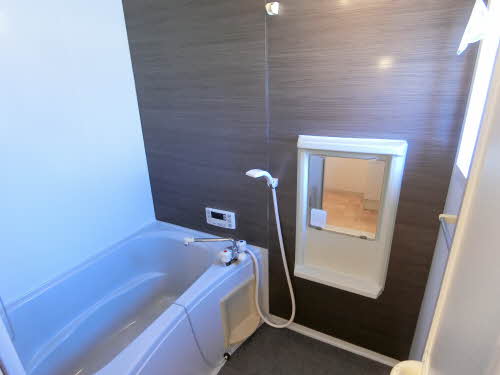 Millennium Star 0102号-5