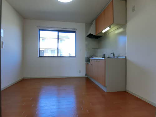 Millennium Star 0102号-8