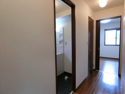 アヴァンツァーレ 0201号-3