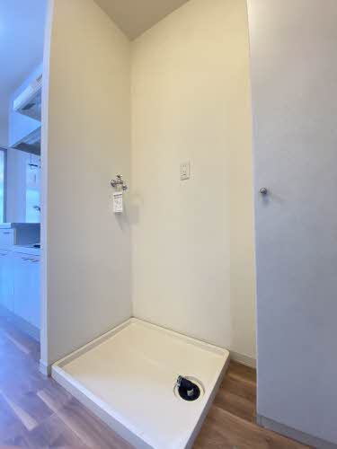 ＭＥＲＶＥＩＬＬＥ　Ｙ２ 0101号-5