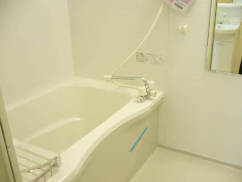 メゾン・ド・リッツ弐番館 B106号-11