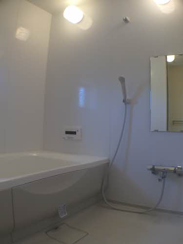 ヴェルドミールツジ 0201号-7