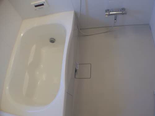 ヴェルドミールツジ 0201号-8