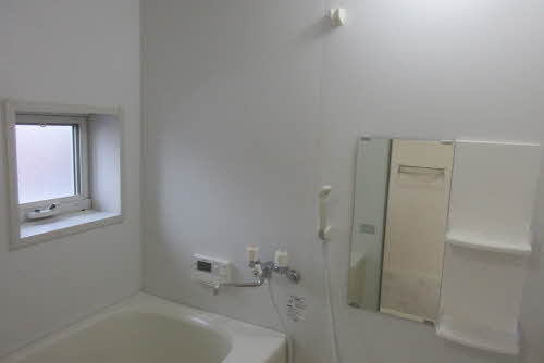 ハックベリー A202号-11