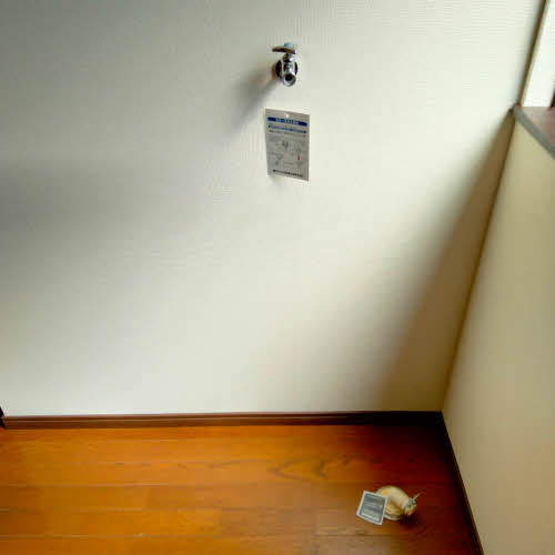 コーポピュア 0102号-15