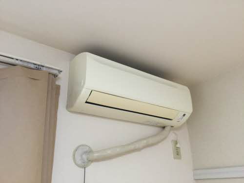 フレグランス乙女 D201号-11